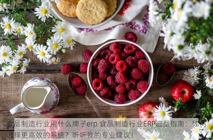 食品制造行业用什么牌子erp 食品制造行业ERP选型指南：如何选择更高效的系统？听听我的专业建议！