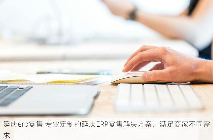 延庆erp零售 专业定制的延庆ERP零售解决方案，满足商家不同需求