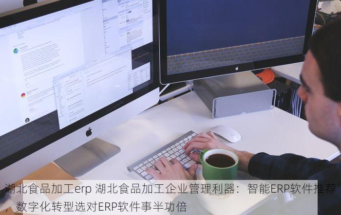 湖北食品加工erp 湖北食品加工企业管理利器：智能ERP软件推荐，数字化转型选对ERP软件事半功倍