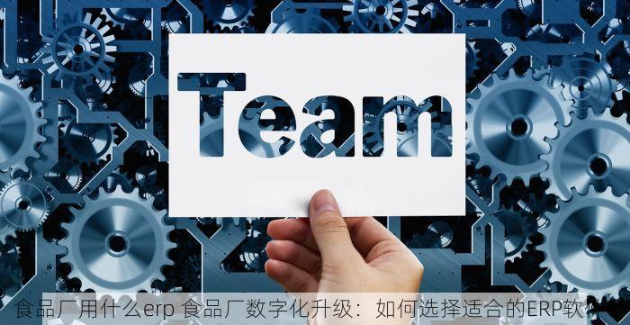 食品厂用什么erp 食品厂数字化升级：如何选择适合的ERP软件？