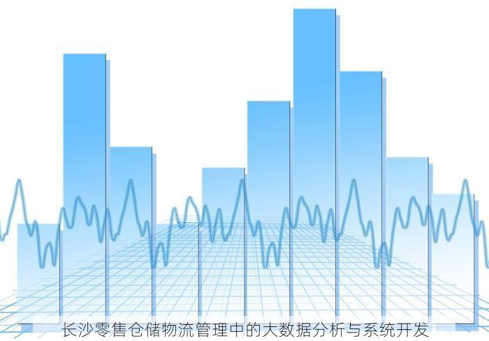 长沙零售仓储物流管理中的大数据分析与系统开发