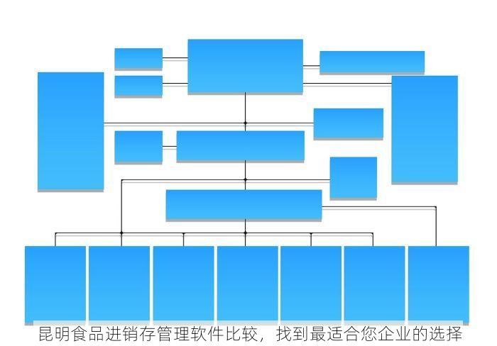 昆明食品进销存管理软件比较，找到最适合您企业的选择