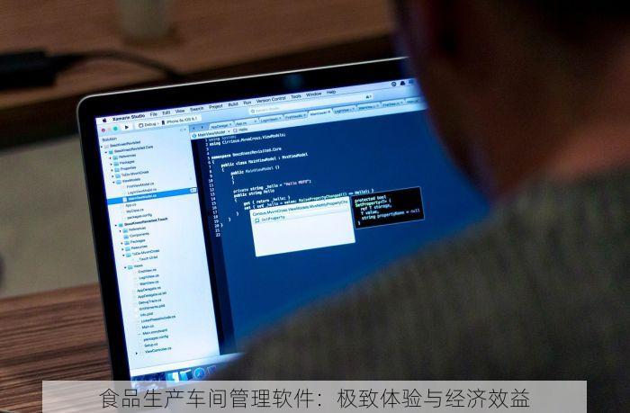 食品生产车间管理软件：极致体验与经济效益