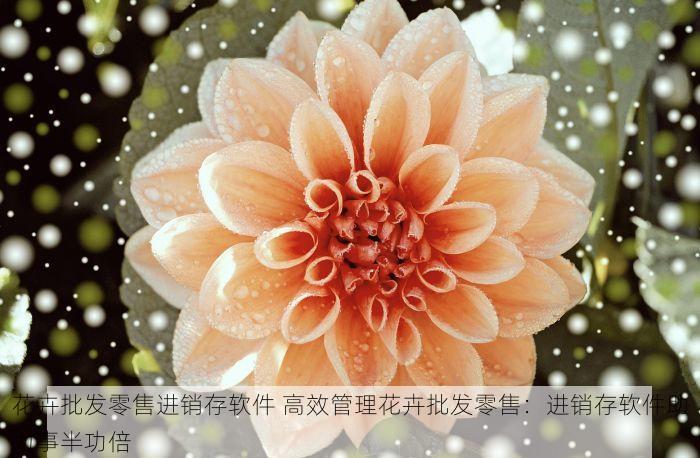 花卉批发零售进销存软件 高效管理花卉批发零售：进销存软件助力事半功倍