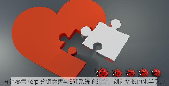 分销零售+erp 分销零售与ERP系统的结合：创造增长的化学反应