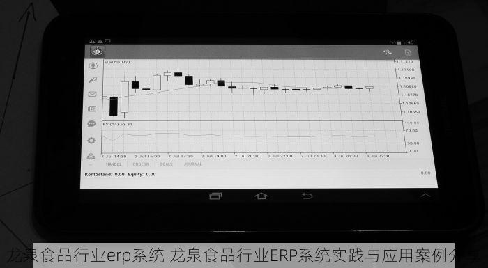 龙泉食品行业erp系统 龙泉食品行业ERP系统实践与应用案例分享