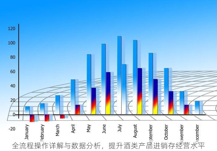 全流程操作详解与数据分析，提升酒类产品进销存经营水平