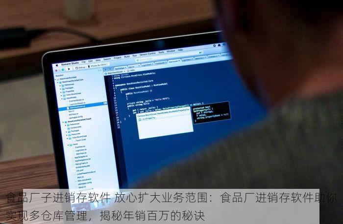食品厂子进销存软件 放心扩大业务范围：食品厂进销存软件助你实现多仓库管理，揭秘年销百万的秘诀