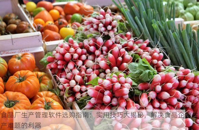 食品厂生产管理软件选购指南：实用技巧大揭秘，解决食品企业生产难题的利器