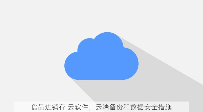 食品进销存 云软件，云端备份和数据安全措施